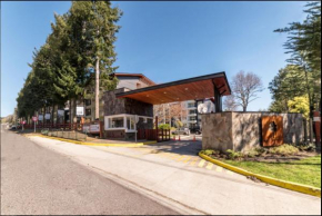 Exceptional Deluxe Apartment Pucon near Lake and Volcano